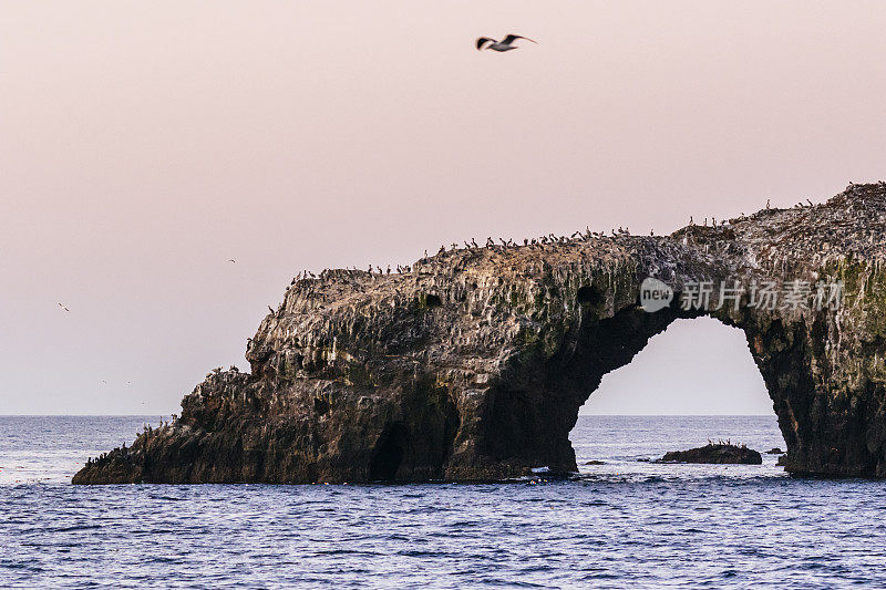 东阿纳卡帕岛的拱门，海峡群岛国家公园鹈鹕和其他鸟类的家园。