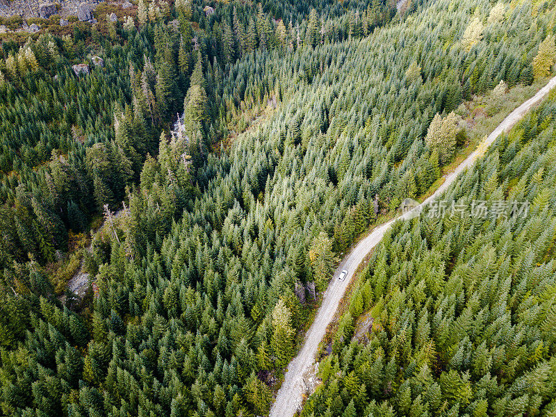 森林服务道路上的汽车鸟瞰图