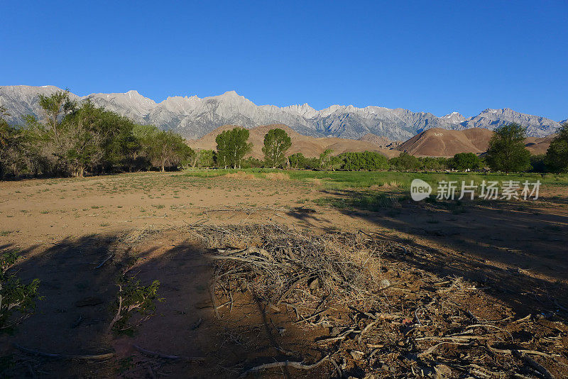 惠特尼山和内华达山脉