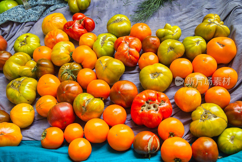 农贸市场上的彩色传家宝番茄
