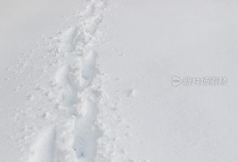 雪地里的脚步声