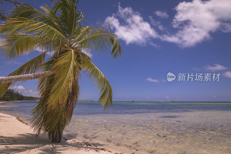 夏季天堂:热带海滩与游艇-蓬塔卡纳，加勒比