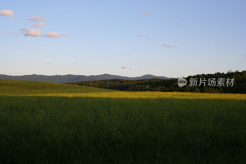 就在夏日日落之前