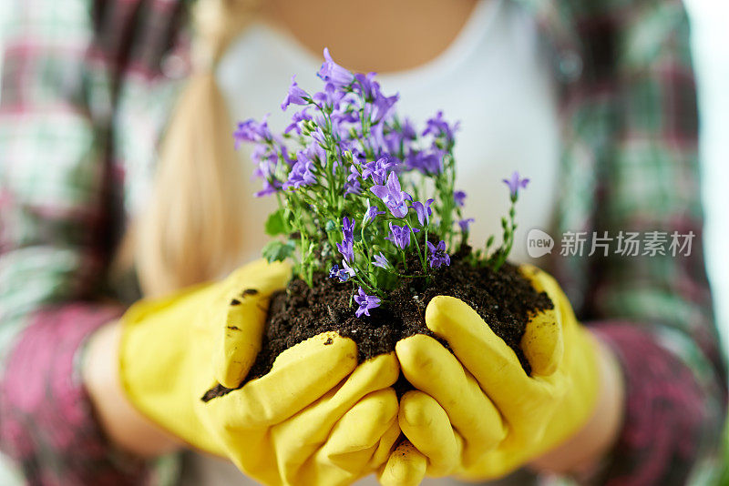 生命掌握在你手中