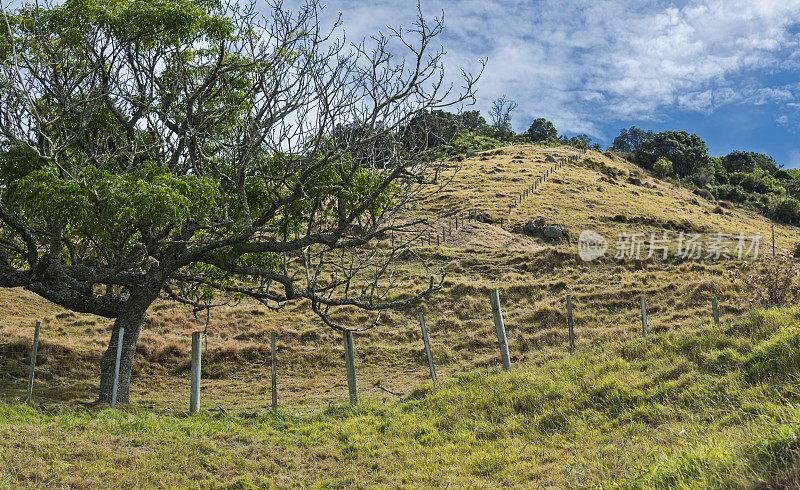 Maunganui山，陶兰加，新西兰