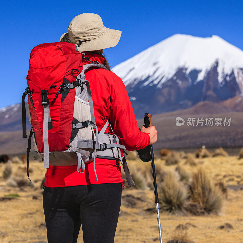 在玻利维亚高原上看帕里纳科塔火山的女游客