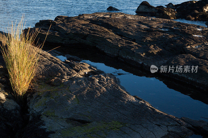 海岸线