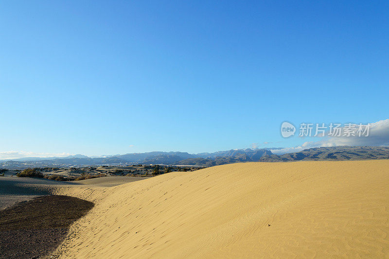 格兰卡纳利亚岛马斯帕洛马斯沙丘