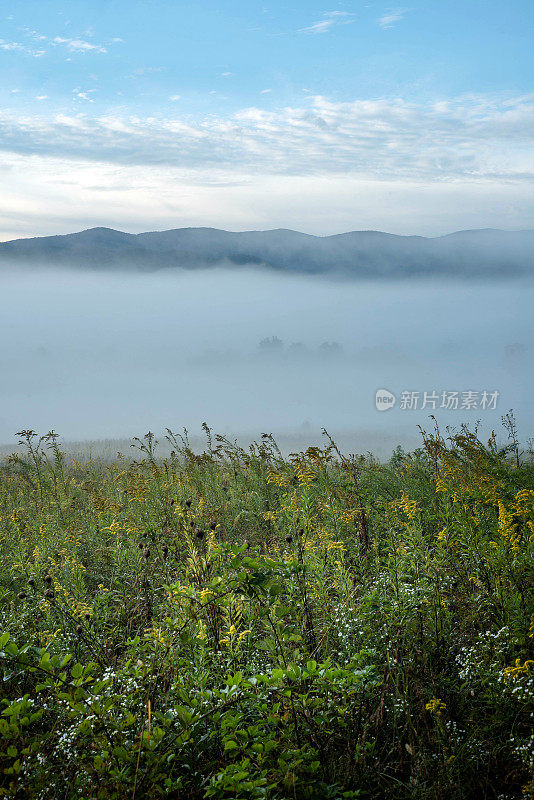 田纳西州卡德斯湾的一个雾蒙蒙的早晨