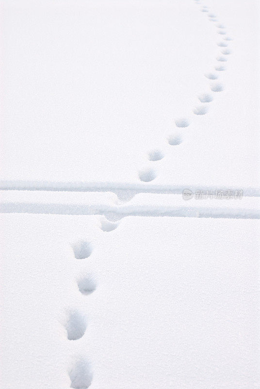 越野滑雪道