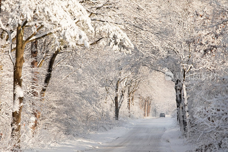 汽车在白雪覆盖的森林道路上行驶