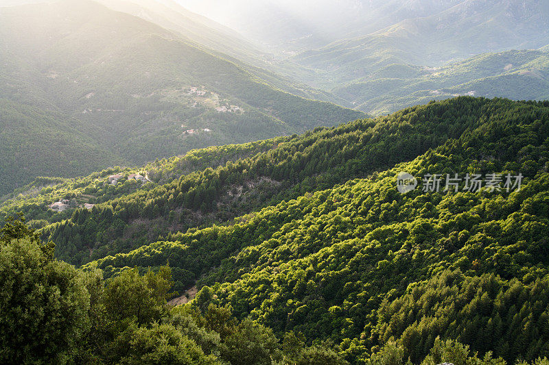 背光的森林山