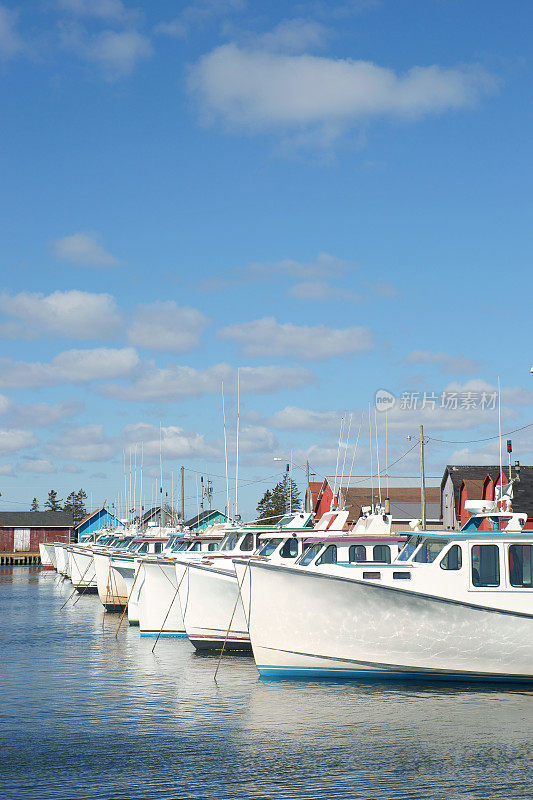 马尔佩克港口的渔船