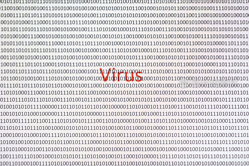 二进制代码上的计算机病毒