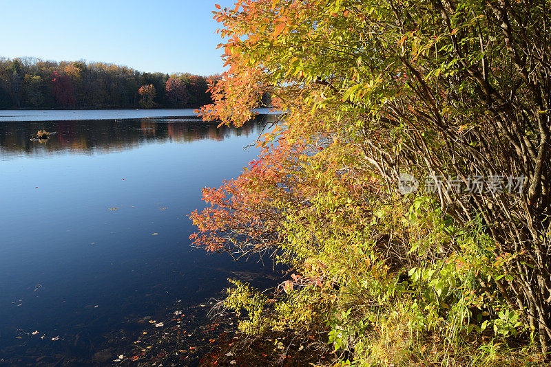 许诺之地湖州立公园的秋色