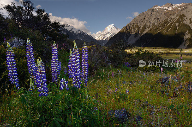 库克山和卢宾斯