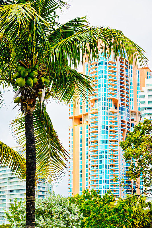 美国迈阿密海滩豪华公寓大厦