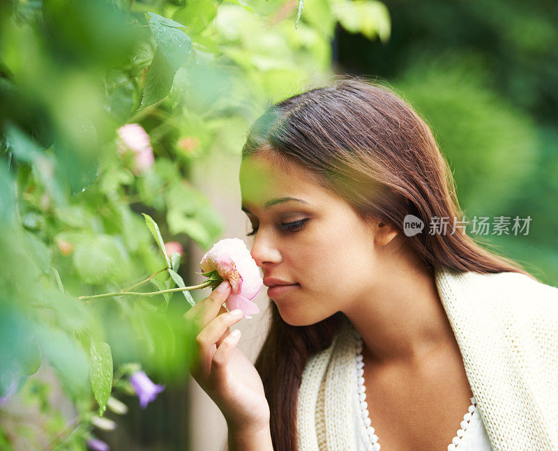 总是停下来闻闻玫瑰花香