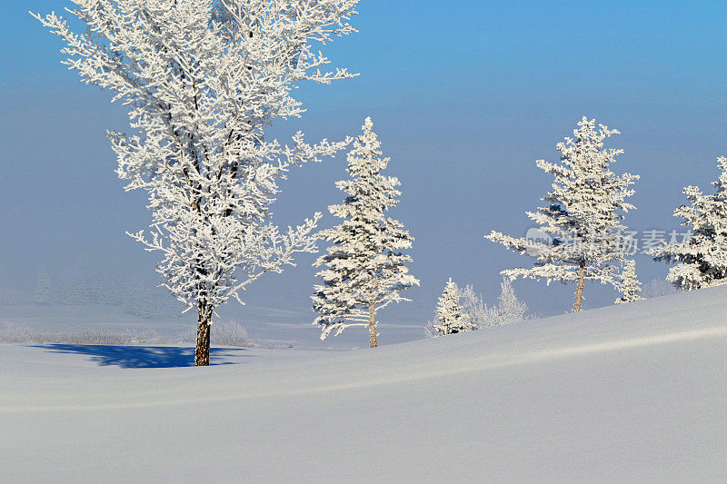 冬季高尔夫球场与新雪