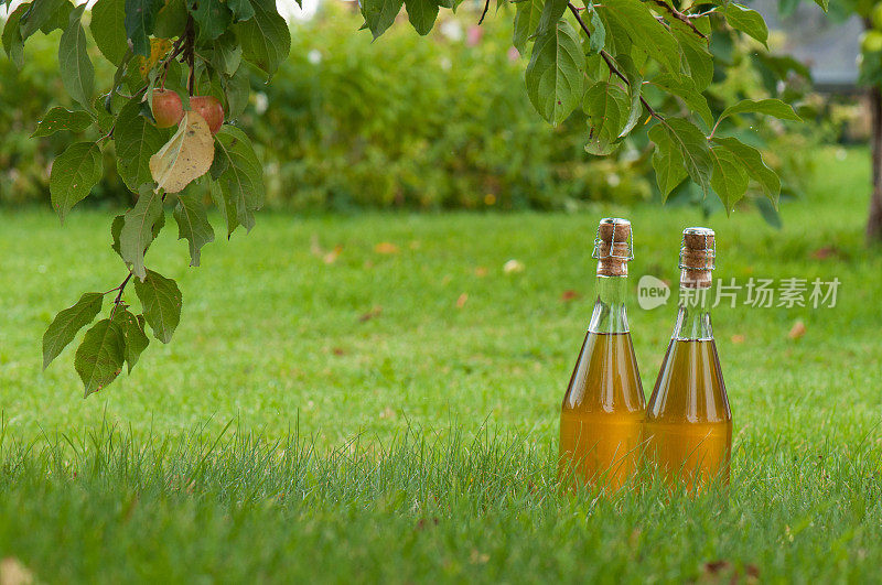 草地上放着两瓶苹果酒