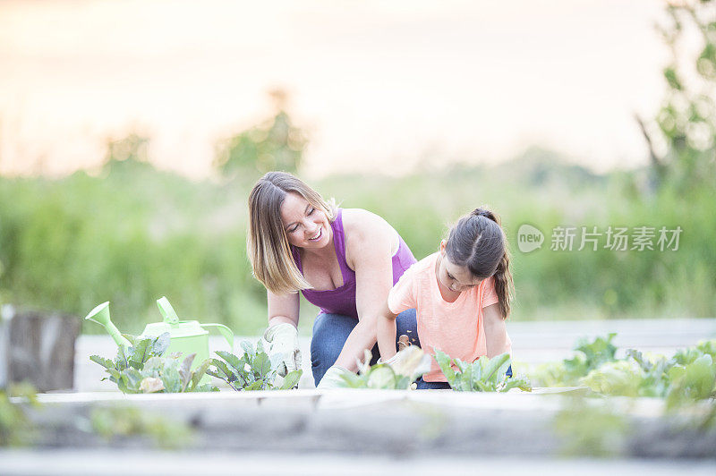母亲教女儿如何在花园里种植