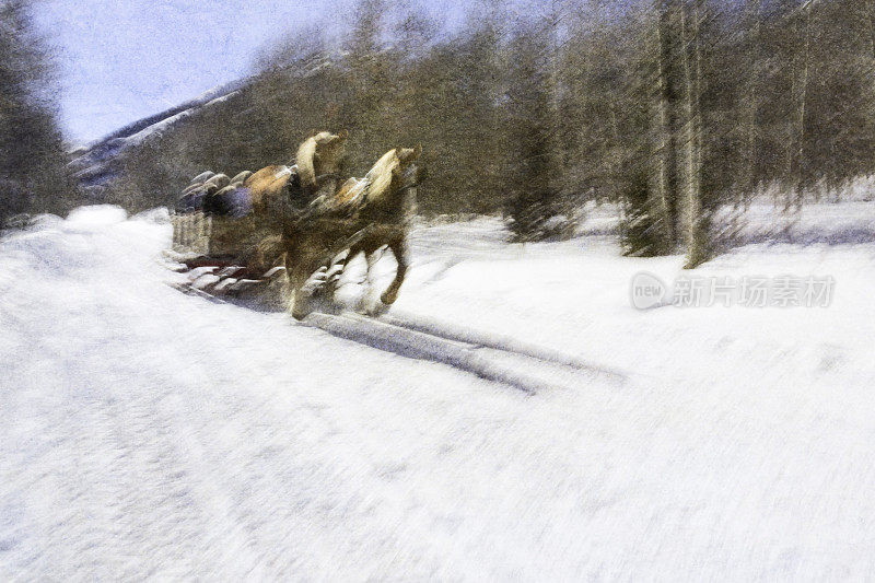 马拉雪橇