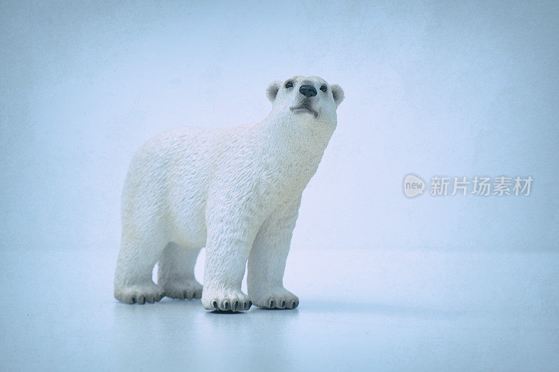 玩具北极熊在白色