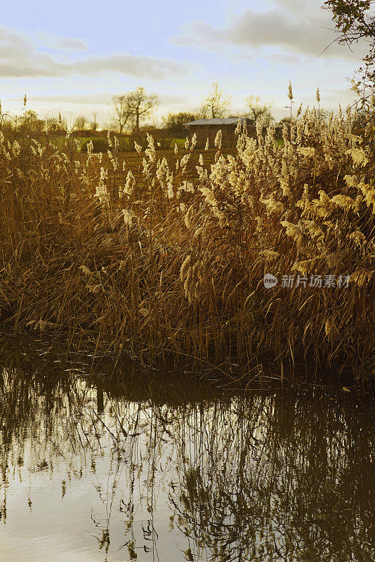 雅芳河