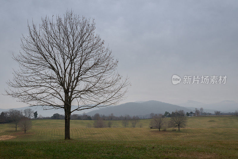 蓝岭早上