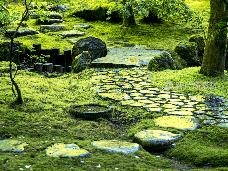 石阶绿苔日本花园俄勒冈“创意内容简介”700060701