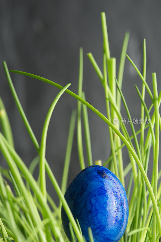 草地上的复活节彩蛋