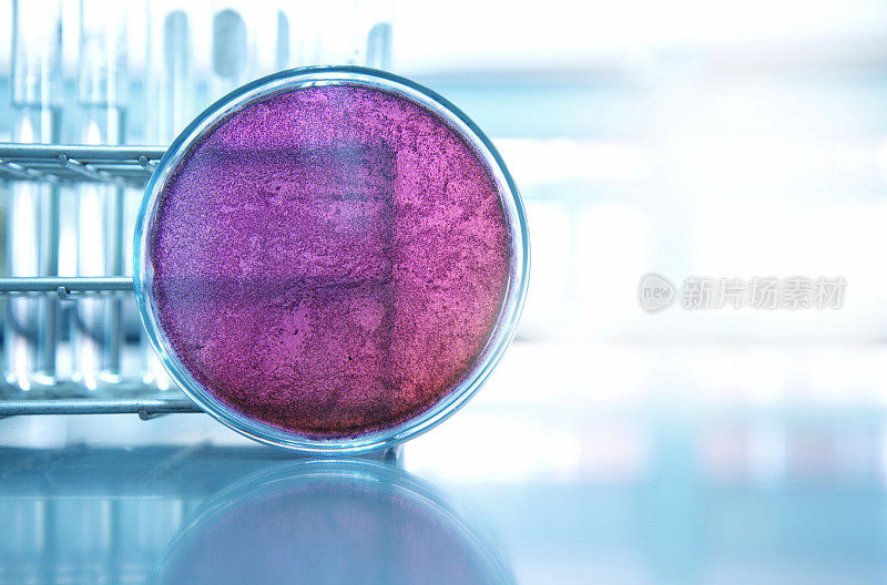 有微生物科学实验室紫色预培养皿和试管背景