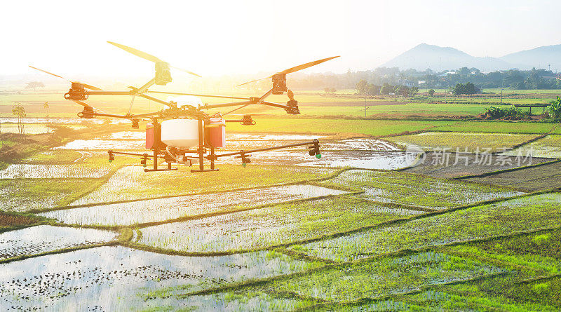 无人机，农业无人机技术，精确耕作，测量作物概念。一种具有闪光效应的无人机喷洒杀虫剂。