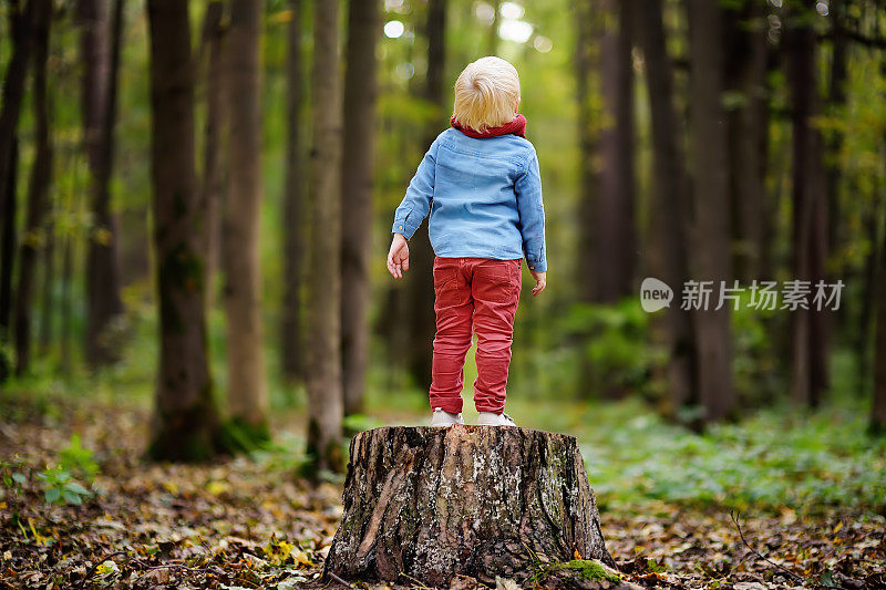 小男孩在森林里散步时在一个树桩上玩耍