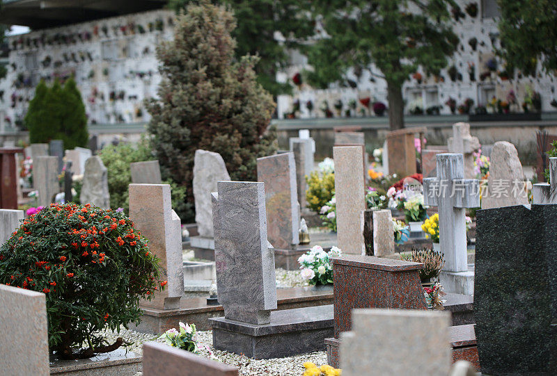 在一个有许多坟墓和墓碑的墓地里