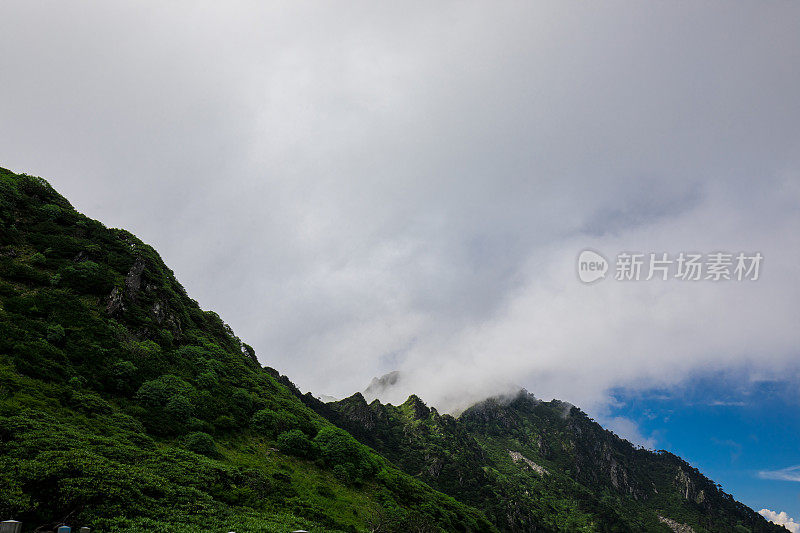 很棒的风景