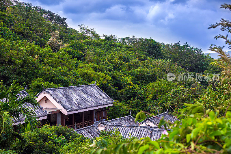 丛林里一所房子的石板屋顶。亚龙湾热带天堂森林公园，海南，中国。