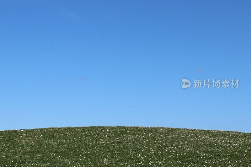 碧蓝的天空下，碧绿的山坡上，绿草如茵