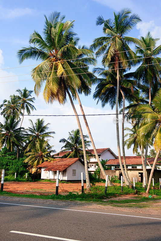 斯里兰卡Hikkaduwa的古老民族房屋。绿色的棕榈树和美丽的背景。
