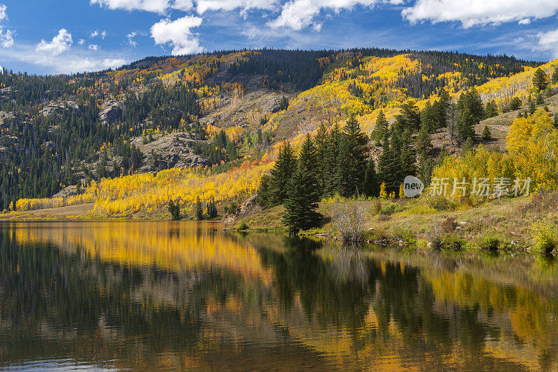 秋天的颜色在科罗拉多州落基山脉的一个山池塘