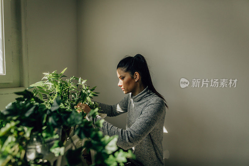 年轻女子独自在家整理植物