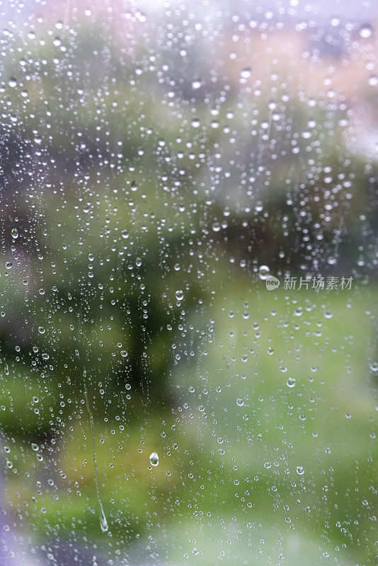 下雨天透过窗户看到的后花园