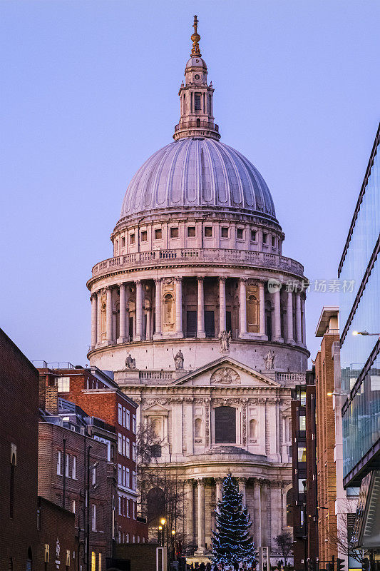 伦敦，圣保罗大教堂墓地上的圣诞树(英格兰-英国)