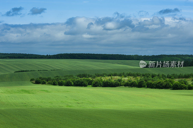 玉米田乡村景观和多云的天空