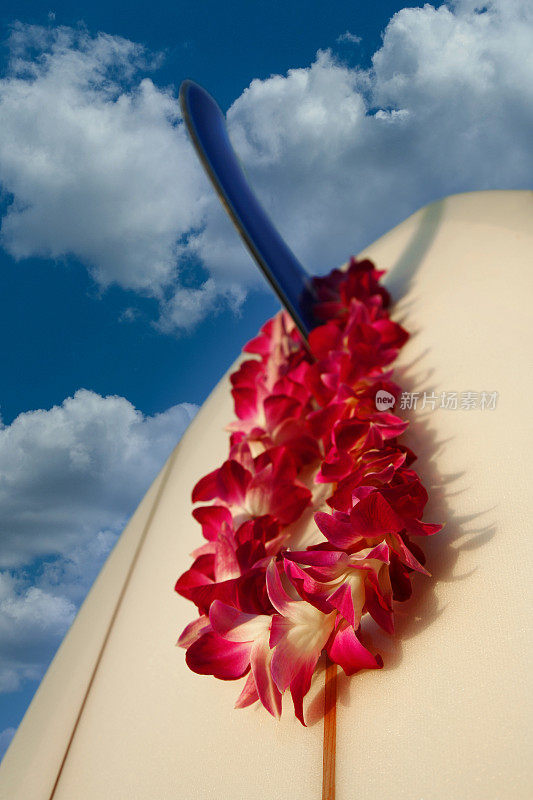 冲浪板鳍上的夏威夷花环