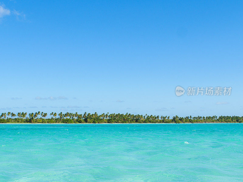 海滩的风景