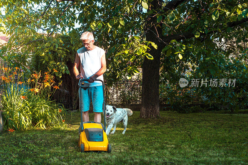 一位老人和他的狗在后院用手动割草机割草