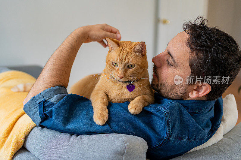 家里有只姜黄色猫的男人