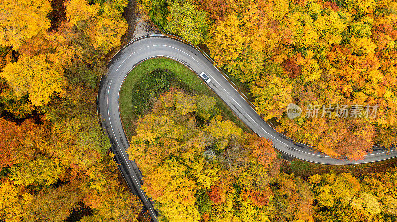 穿越秋天森林的道路-鸟瞰图