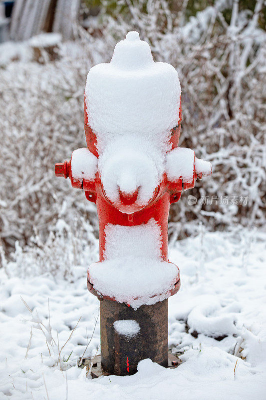 白雪覆盖的消防栓